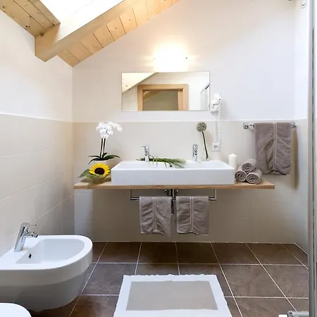Aparthotel Mittendorf Klimaresidence Scena